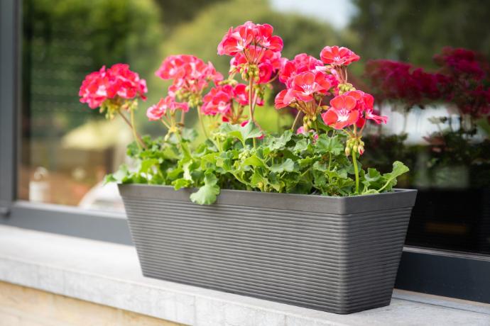 Jardinière recyclée