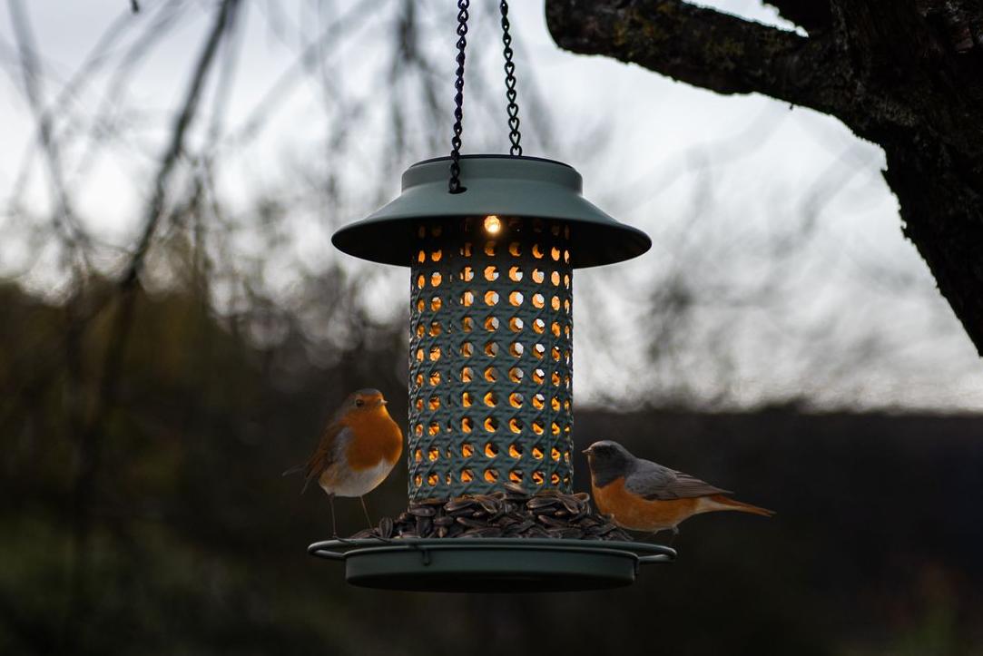 Mangeoire oiseau solaire