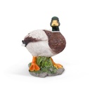 11154177 - duck mallard big -2-1.jpg