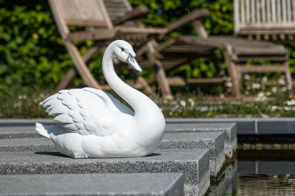 Eine Statue eines weiß-silbernen Schwans an einem Teich in einem Garten Garden ID
