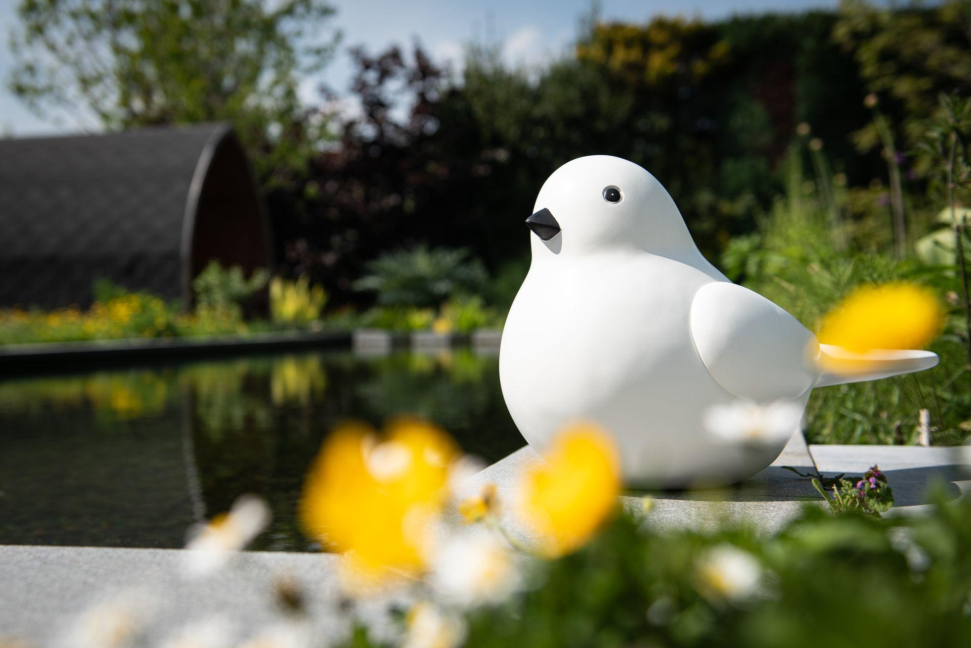 Statues of a modern white and black bird on a concrete slab next to a pondStatuen eines modernen weißen und schwarzen Vogels auf einer Betonplatte neben einem Teich Garden ID
