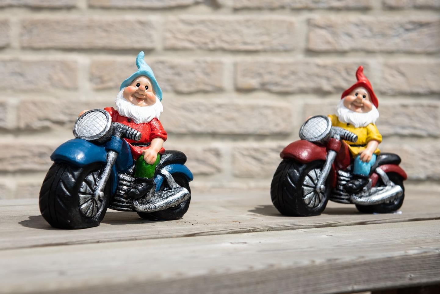 Deux nains de jardin sur leur moto sur un banc en bois Garden ID