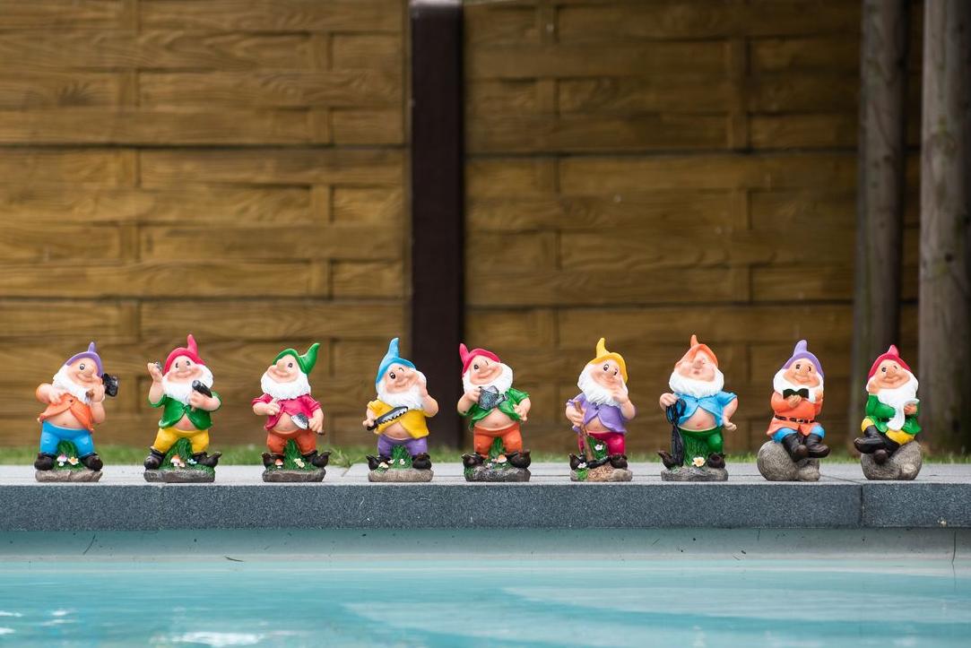 Nine garden gnomes by the pool Garden ID