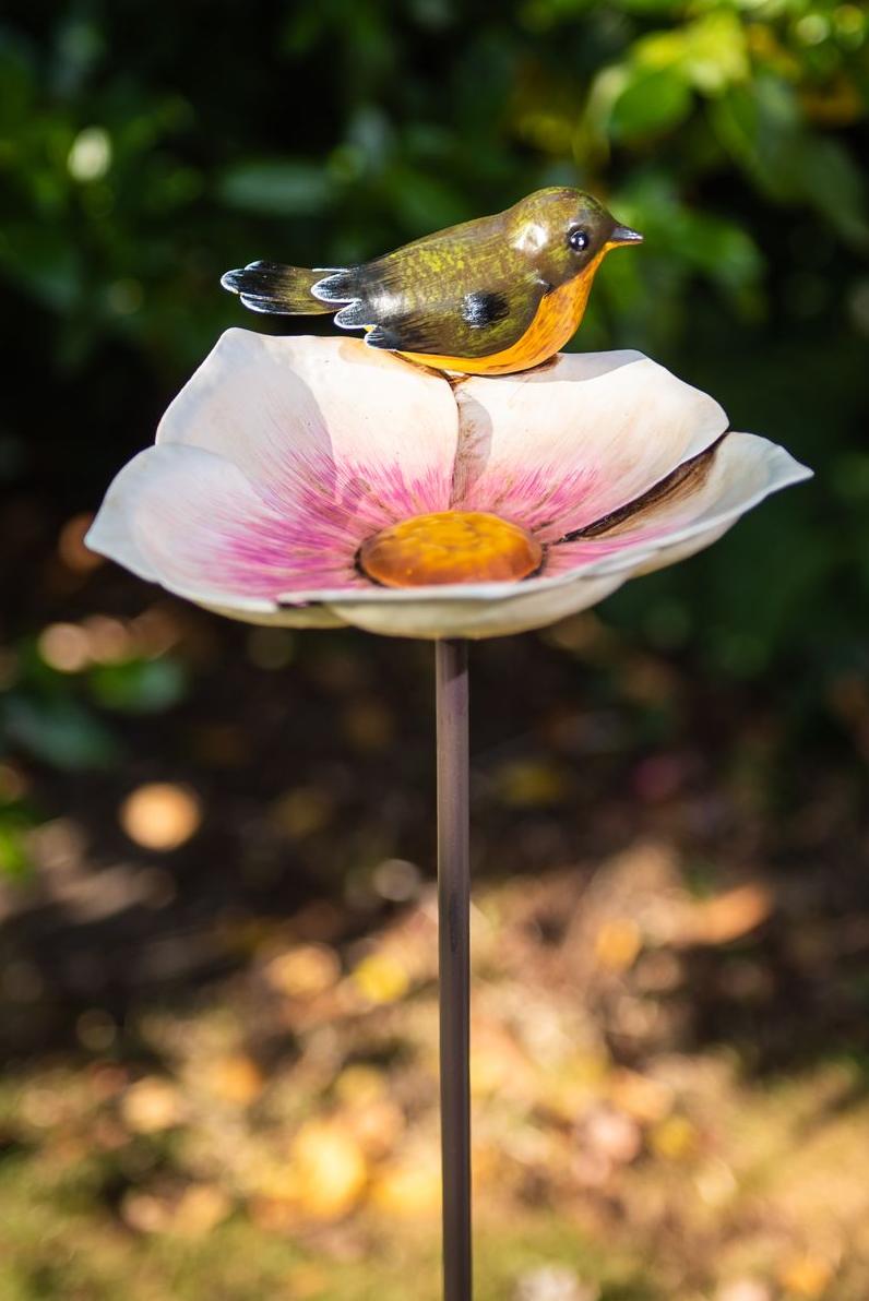 Metal feeder on magnolia spike with bird Garden ID