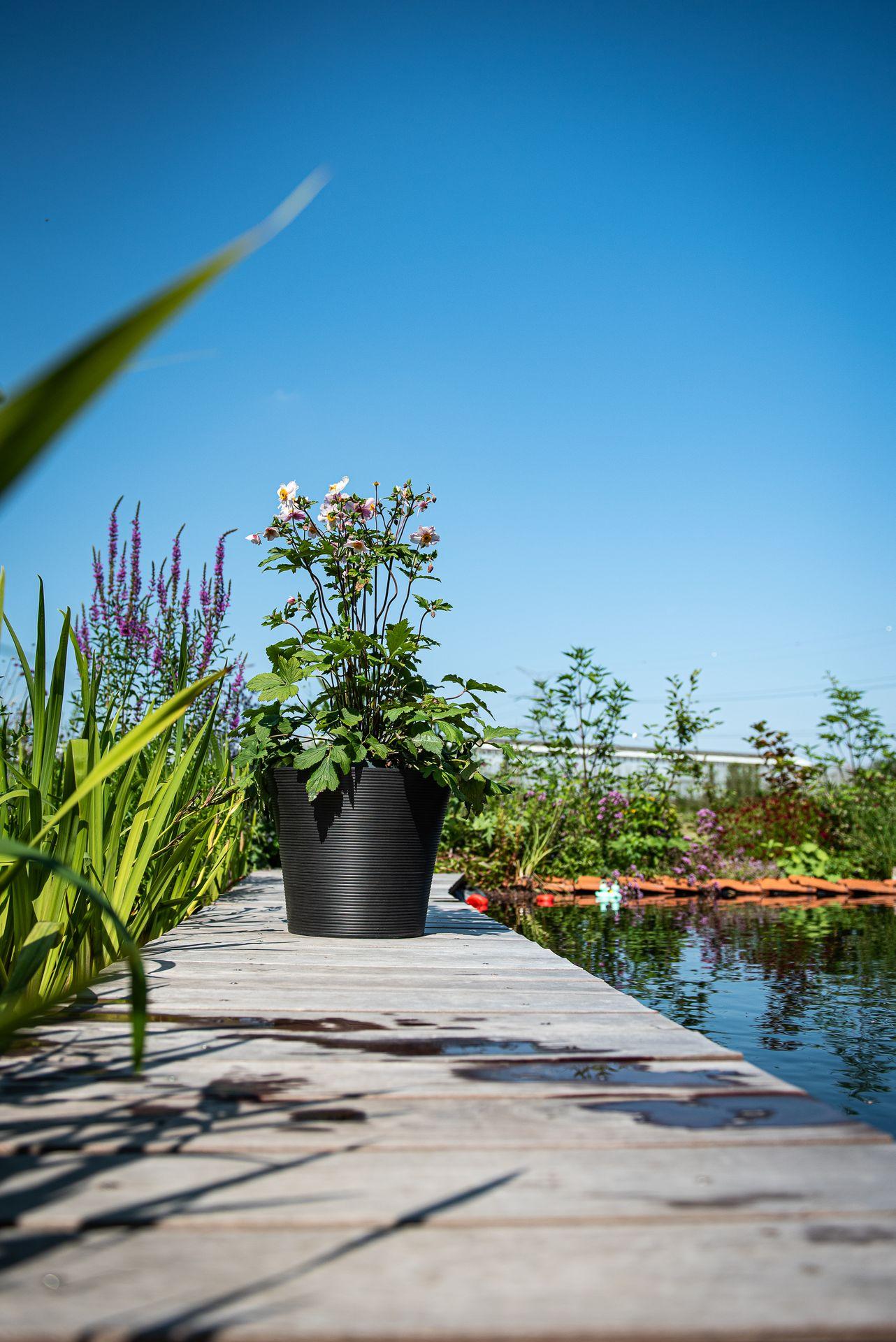 Öko-Topf Green Care recycelter, recycelbarer und unzerbrechlicher Topf Schwarzer Sinn an einem Teich Garden ID