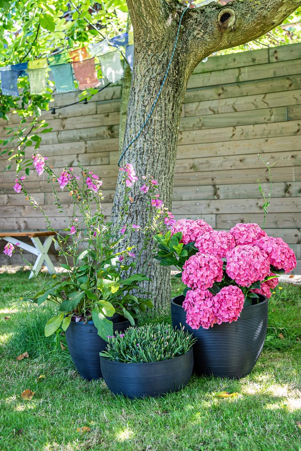 Öko-Topf Green Care Impact Nachhaltigkeit zeitlos recycelt, recycelbar und unzerbrechlich-Töpfe und Schalen Impact schwarz um einen Baum Garden ID