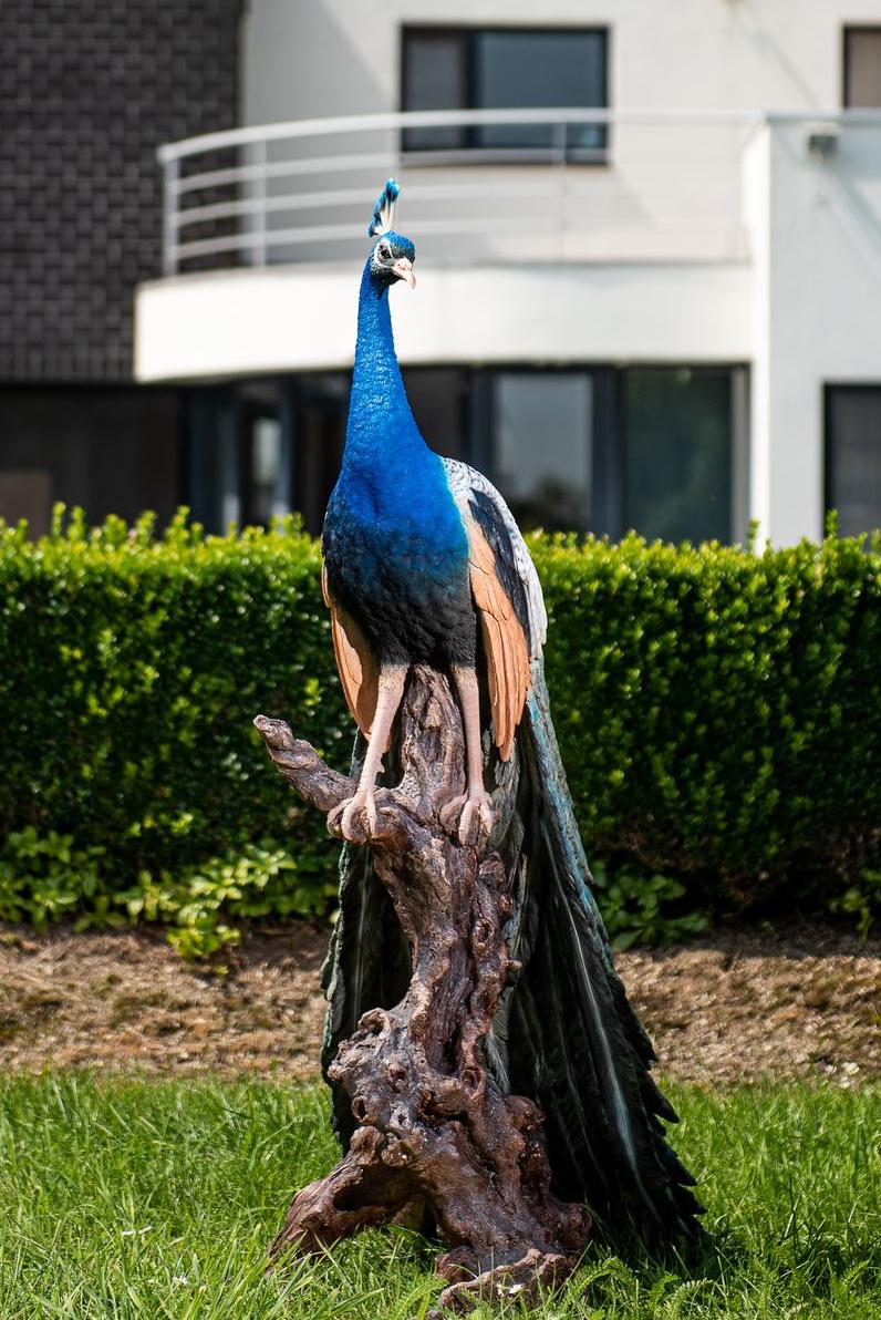 Garden ID- la statue de paon perchée sur un arbre