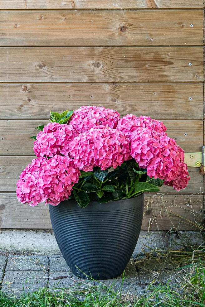 Garden ID Onbreekbare bloempot, gerecycled en recyclebaar Green Care