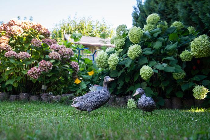 Stone effect duck ornaments