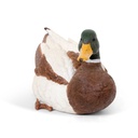 11154176 - duck mallard medium -4-1.jpg