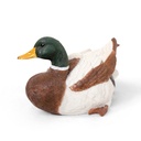 11154176 - duck mallard medium -2-1.jpg