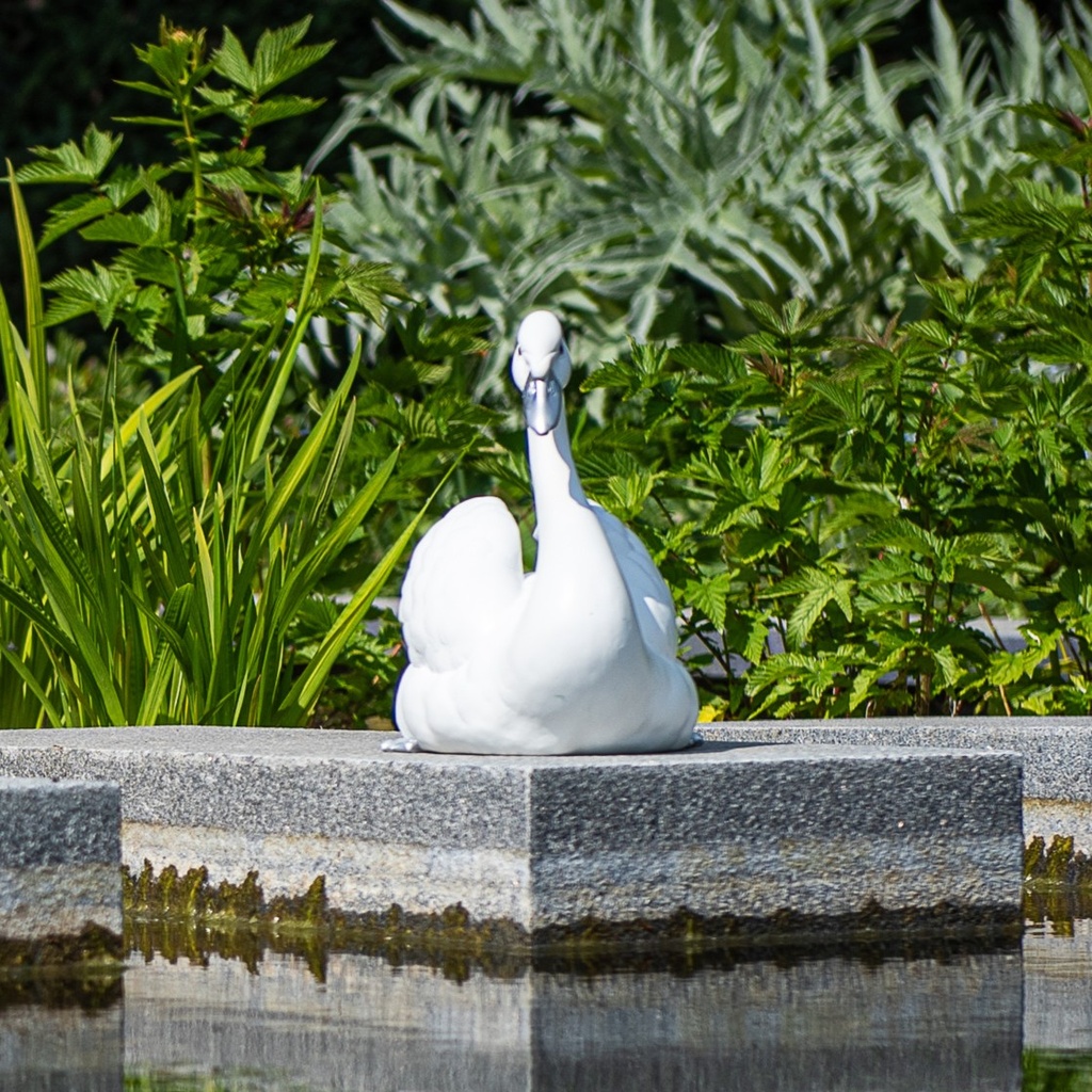 POLYRESINE CYGNE STYLE