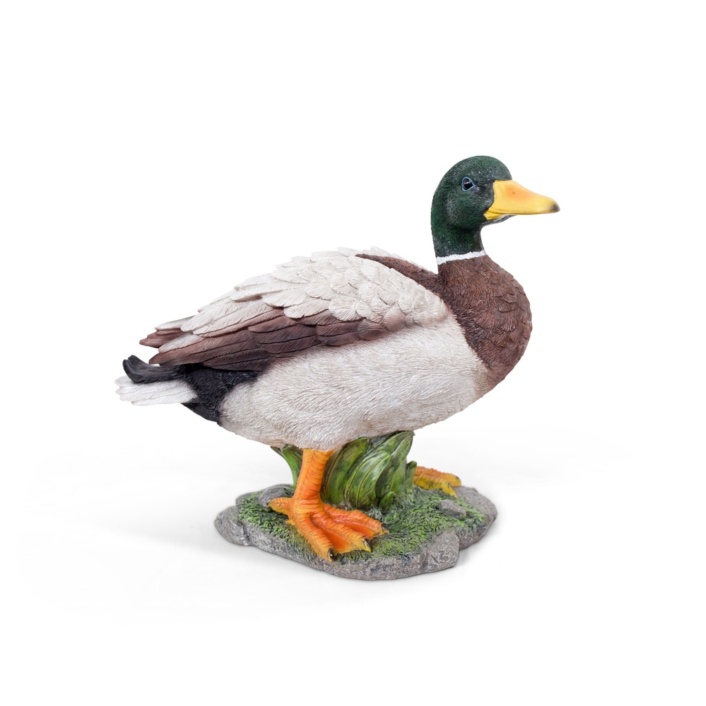 [11154177] Canard colvert debout en polyrésine – 33x18xH29 cm – sculpture réaliste jardin et bassin